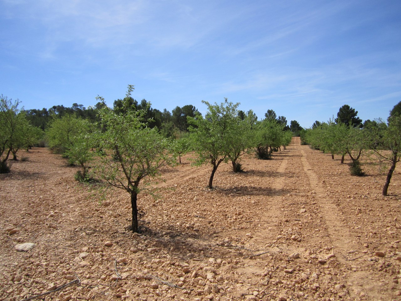 O 1ipp7r30vllh1lsisf1bfp1m51h