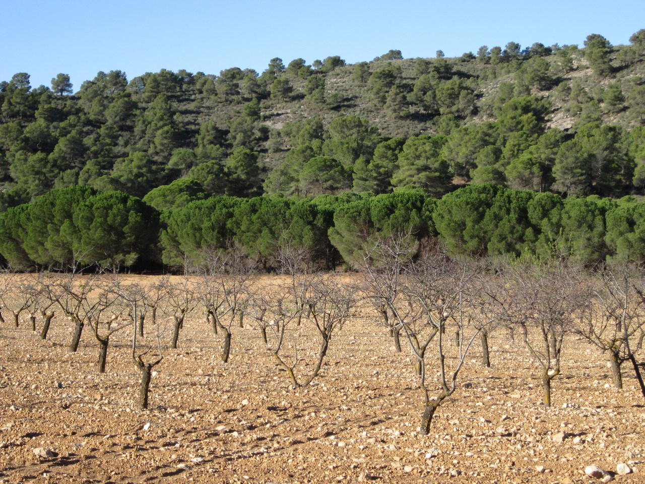 O 1ipp8e0is1pnq1smg1nda1eoi13om1h