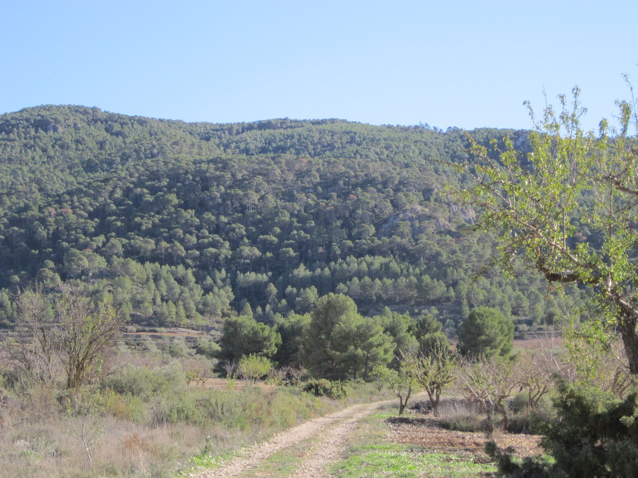 O 1ippap4ksaj537de3f8g7ha31i