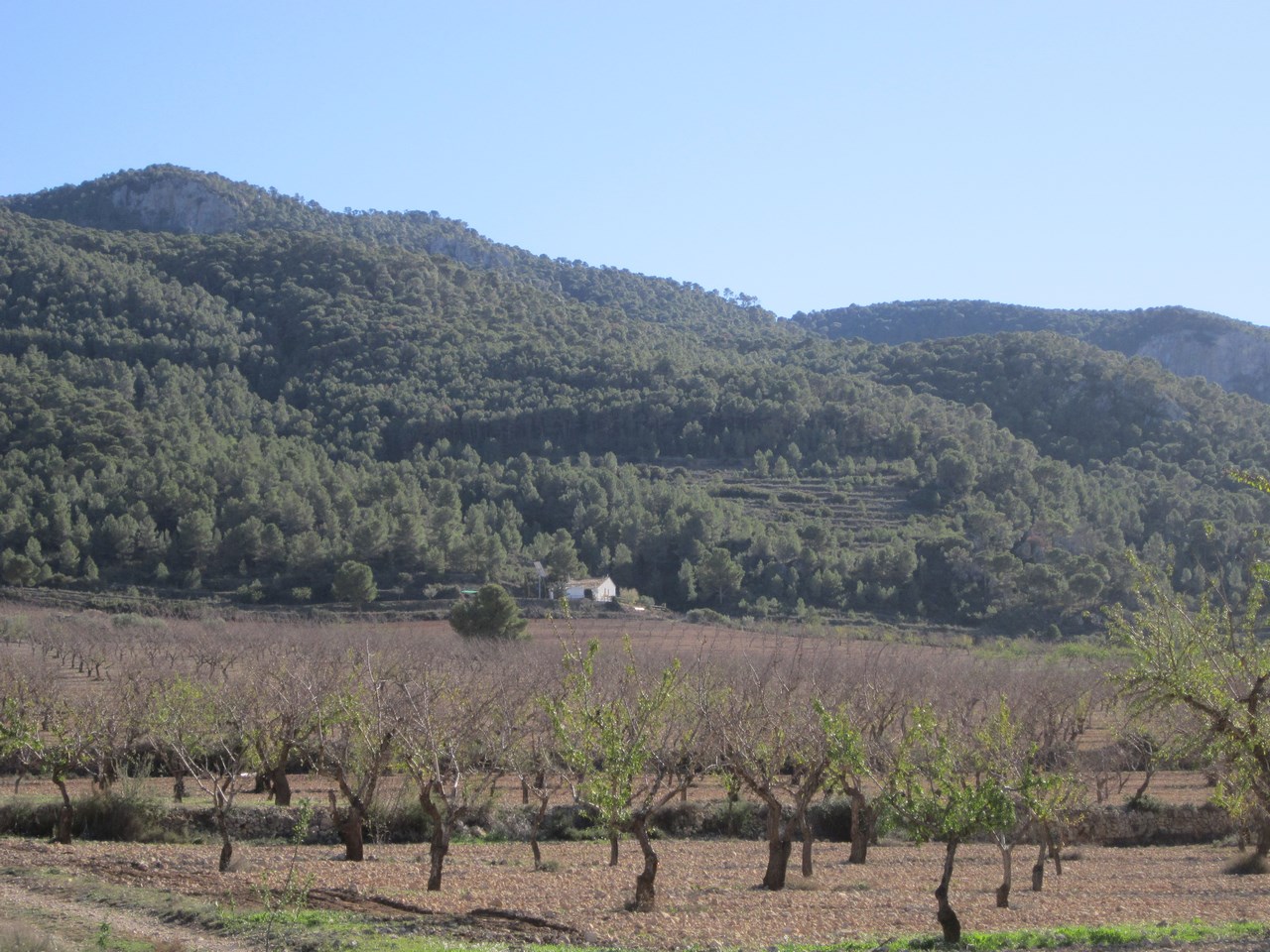 O 1ippap4ksuvbg1lisd614bj1h