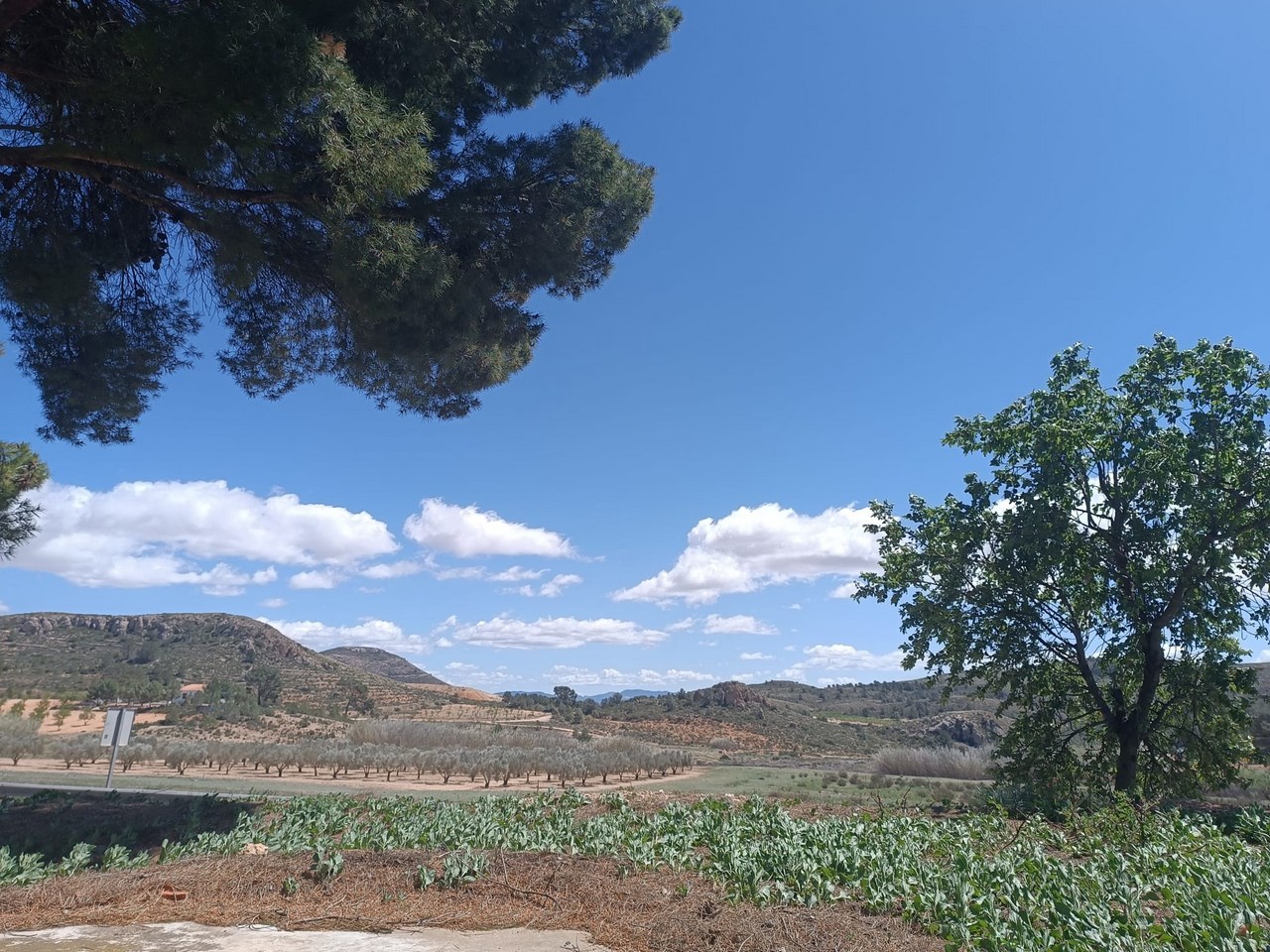 O 1iri0qc2k1afv1ii4etgac519oe1n