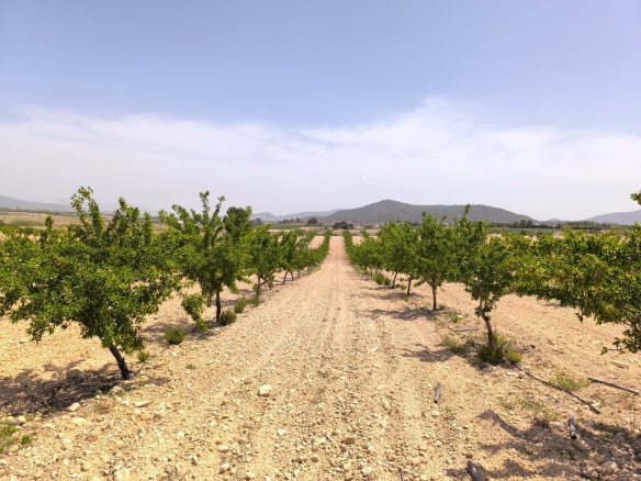 O 1is6isvuj8hvfln12tgv4410tq1i