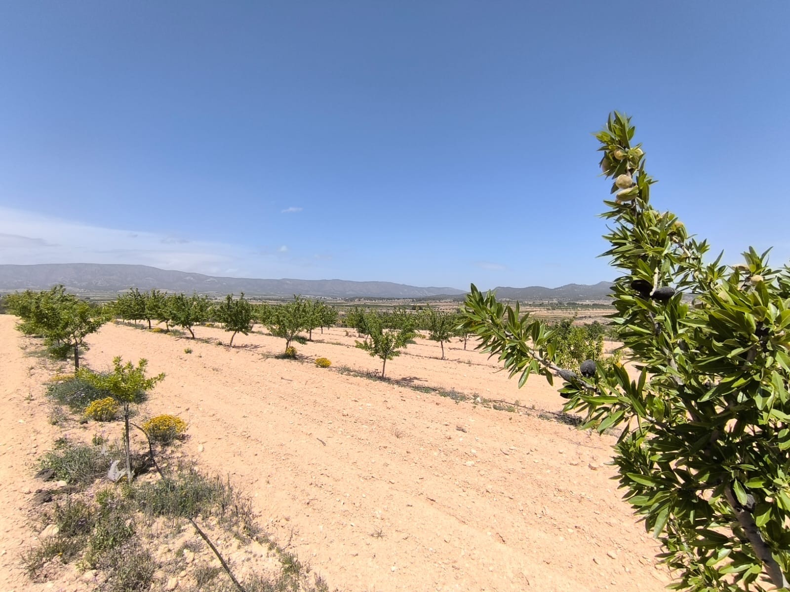 O 1isgjk9gt1iceaqh1icqkg2b291g