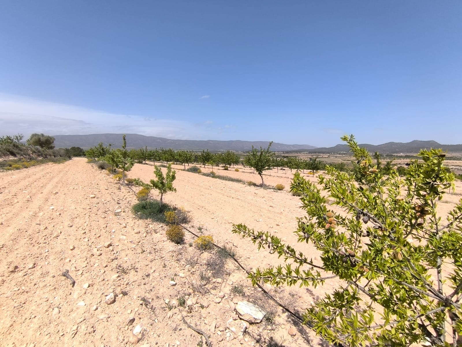 O 1isgjk9gtdja19kegos1b0jml61h