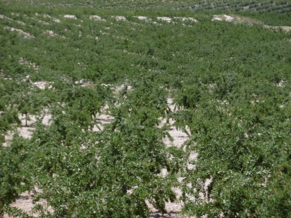 O 1itsffmdhoji1k7m4ai91u3jl1u