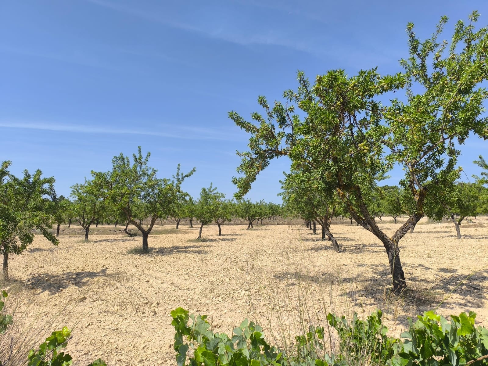 O 1iu45p5vb1nmv1aaks1vos61l561c