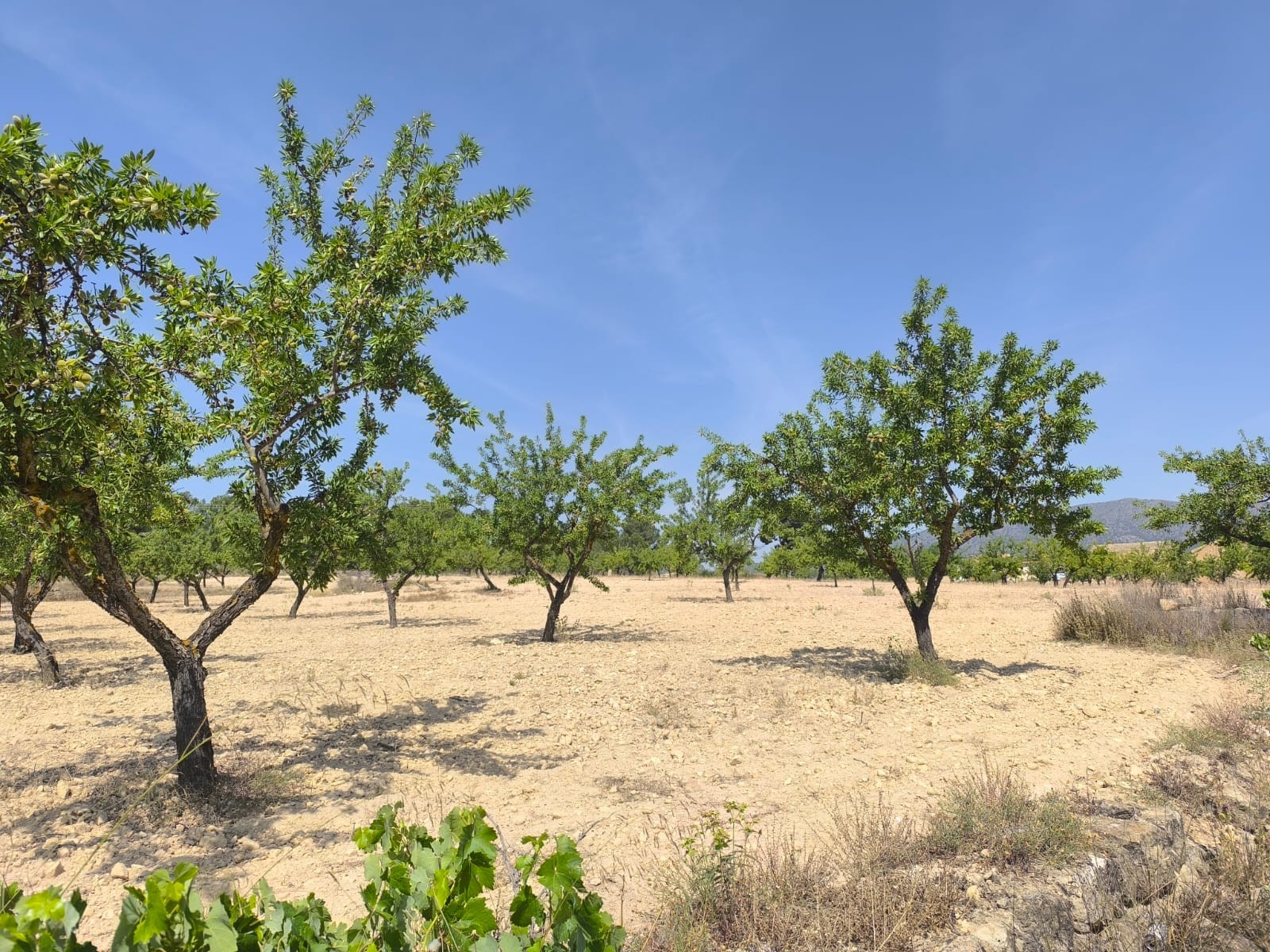 O 1iu45p5vbk1q1f0k1nasfn42jv1e