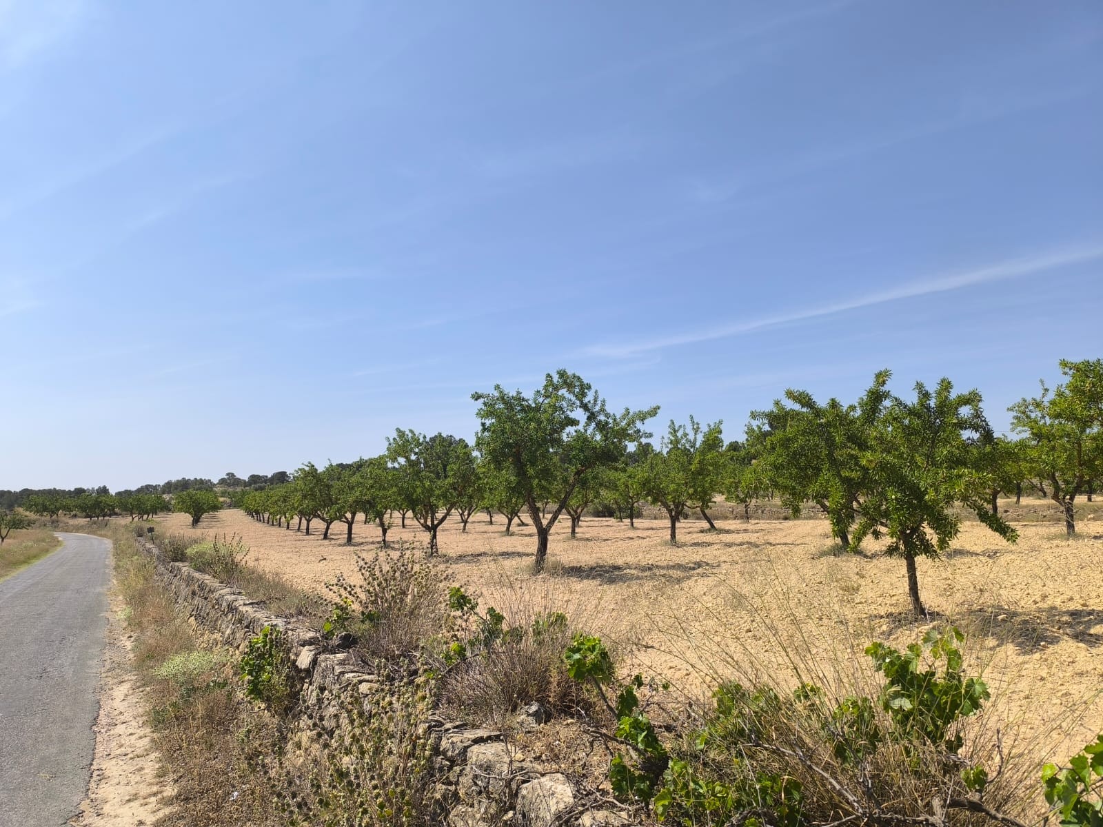 O 1iu45p5vbnt0h6pm2p1isp16ei1d