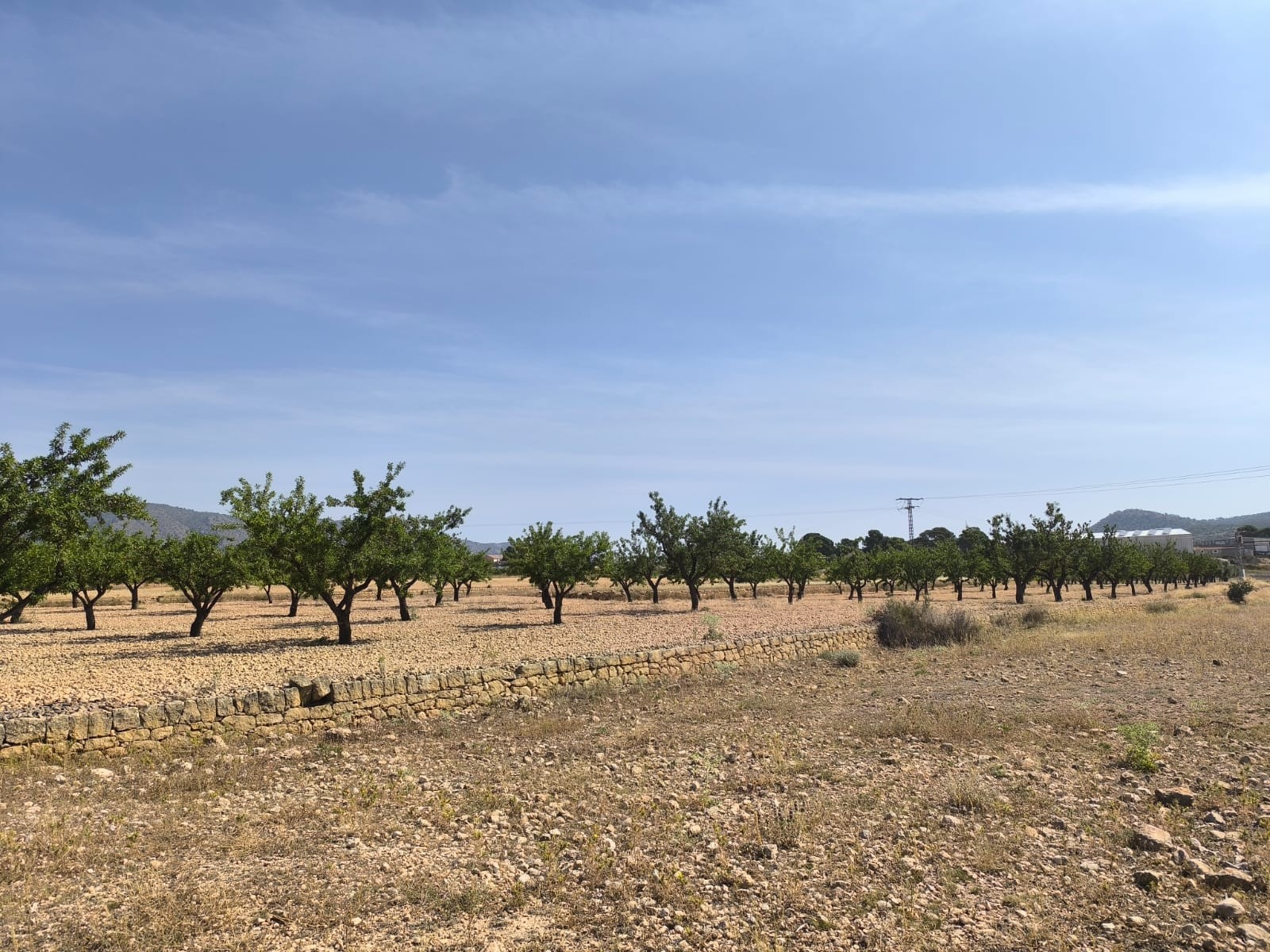 O 1iu45qikctnr17b71p8v13hu1ii51g