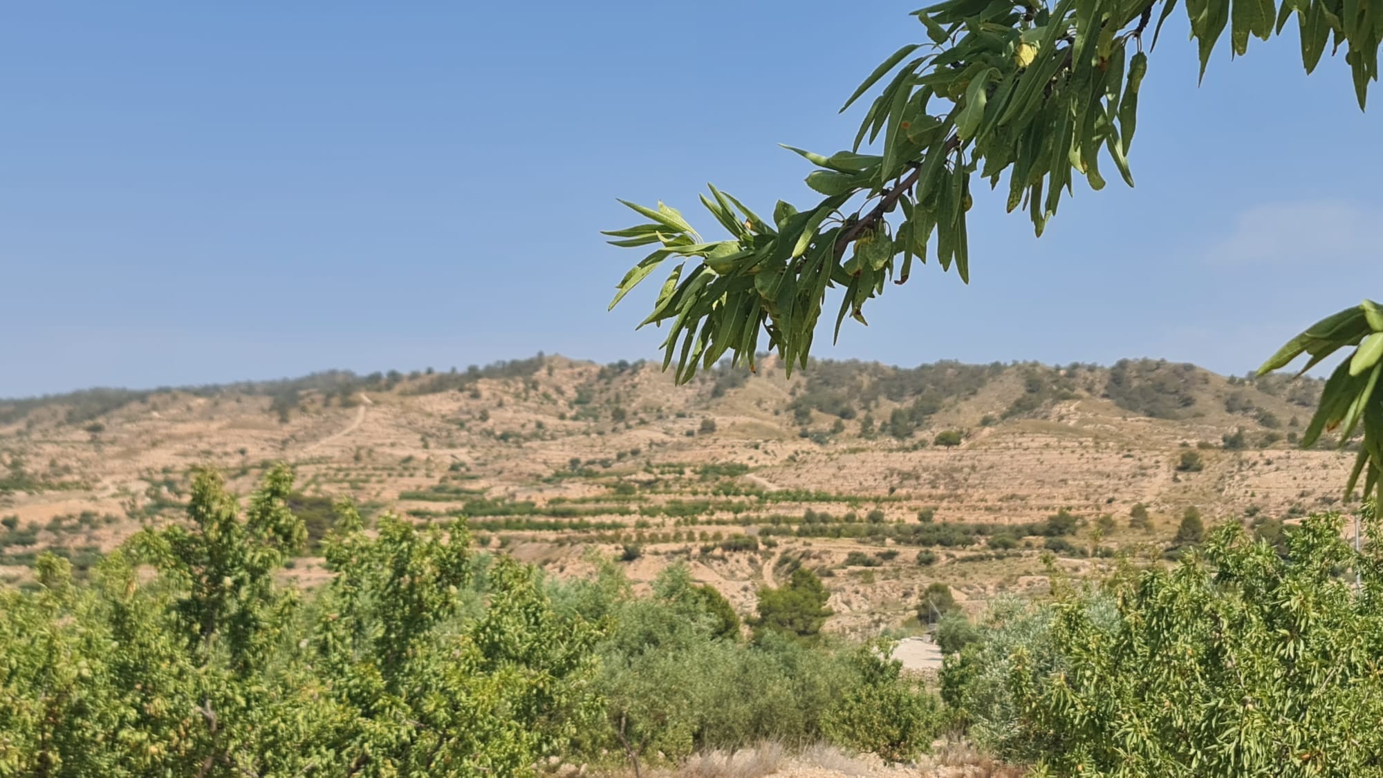 O 1iuis6g97103j3o58ce1n541cjq1k