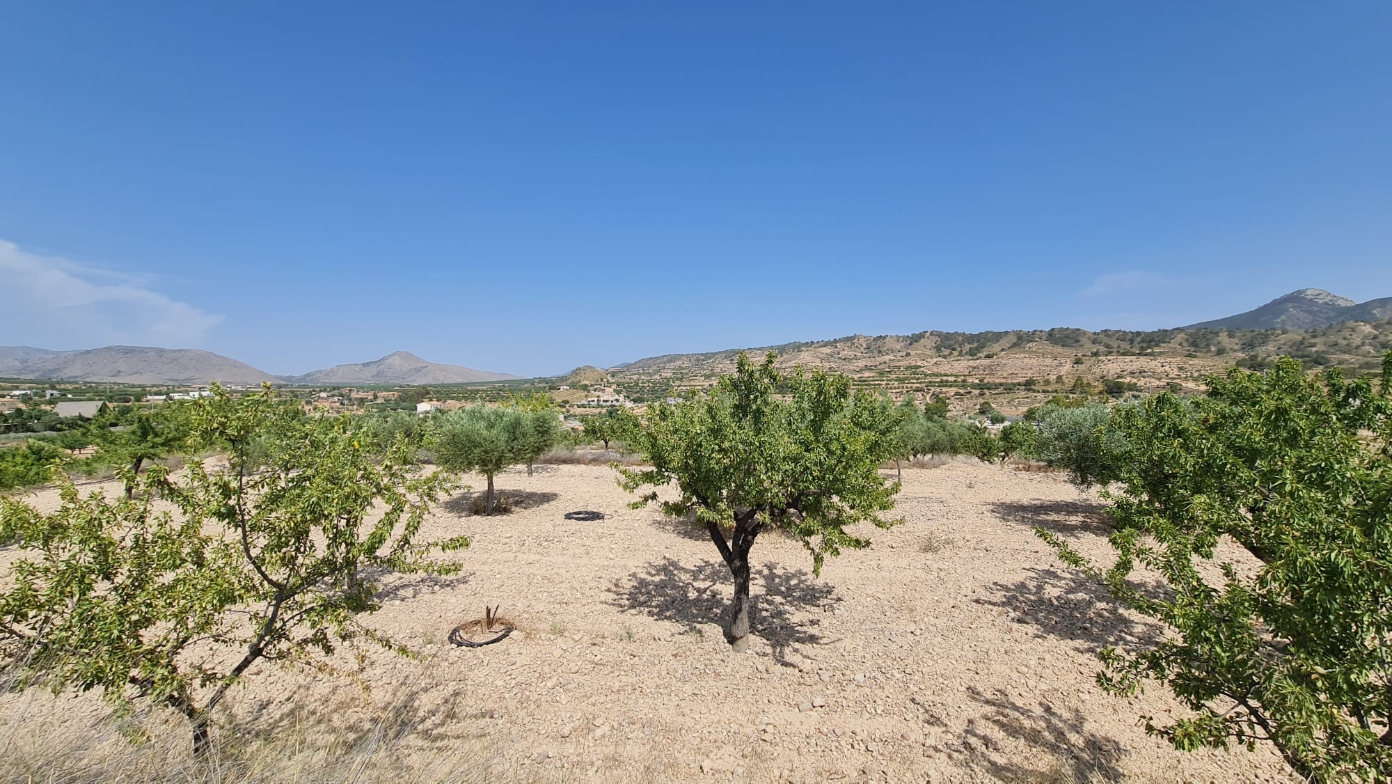 O 1iuis6g97eqodr93ff2c91rc81j