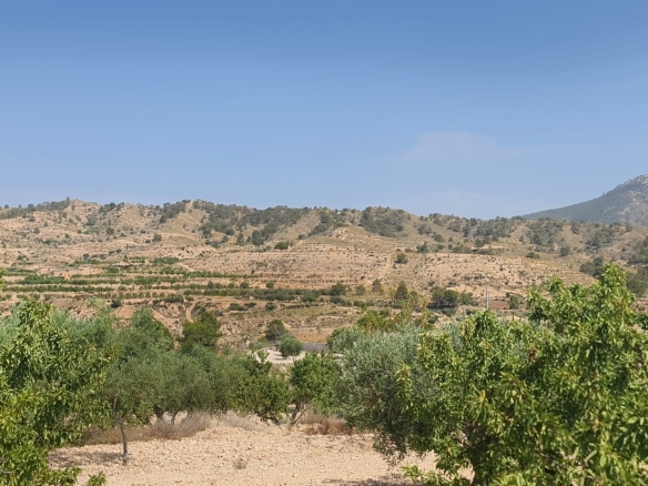 O 1iuis6g97m868ni1i4o1t5couq1p