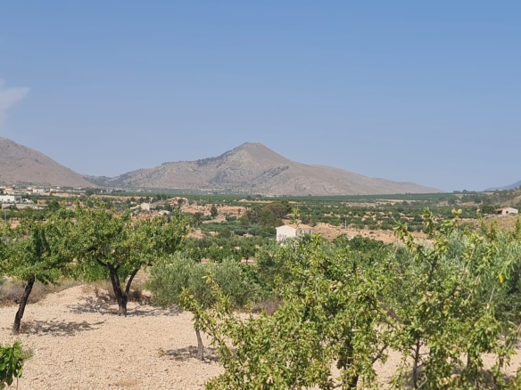 O 1iuisite31kb818hhmcu1ufo1cso1e