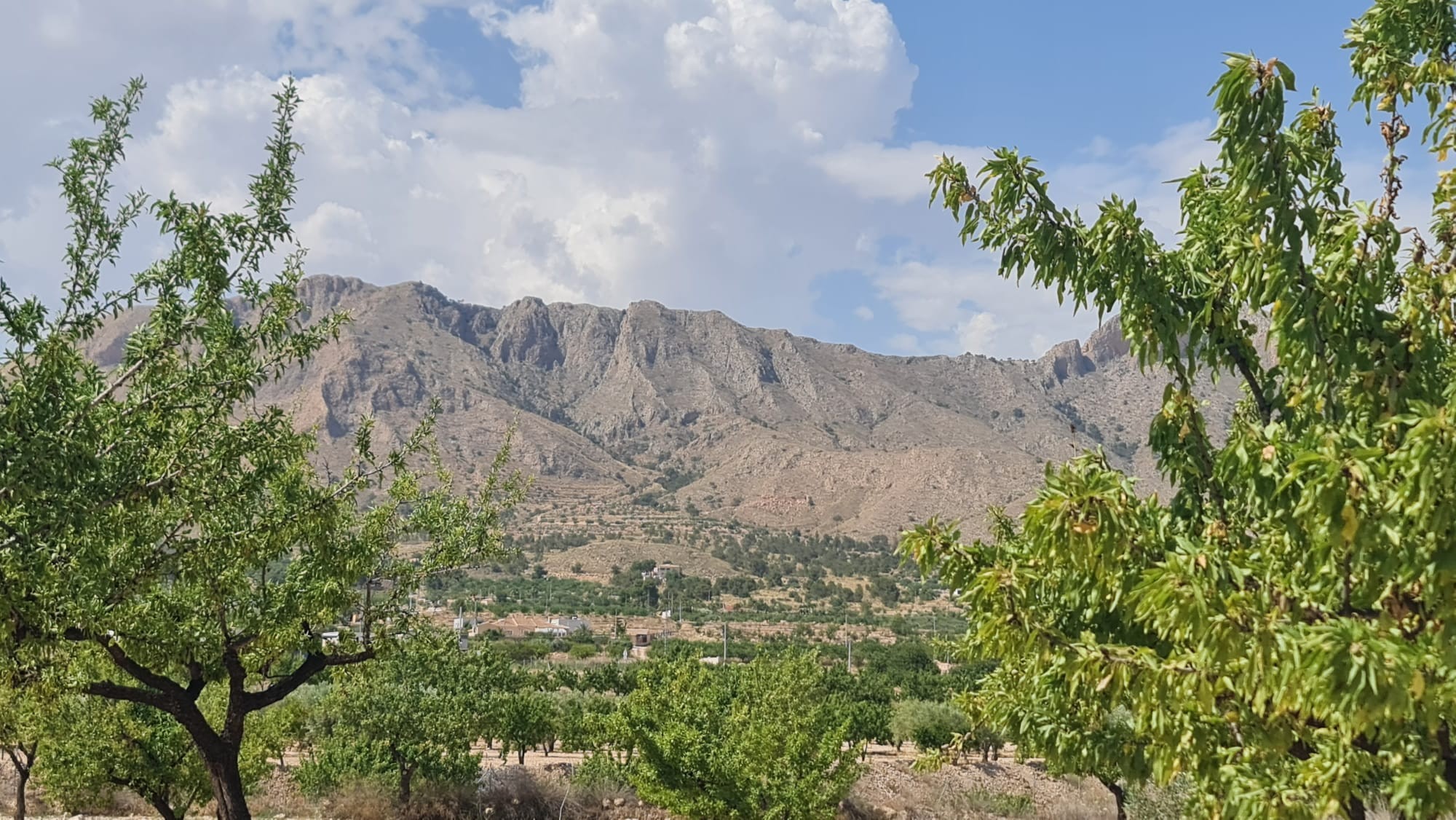 O 1iuisite3oot1blli8i17c5k321f