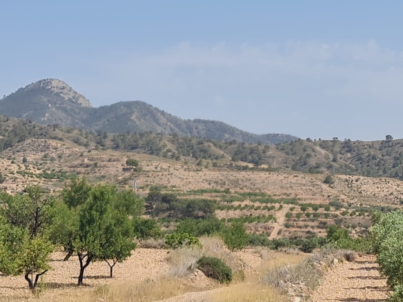 O 1iuitee3k1sv54o1ab0kq81hb41i