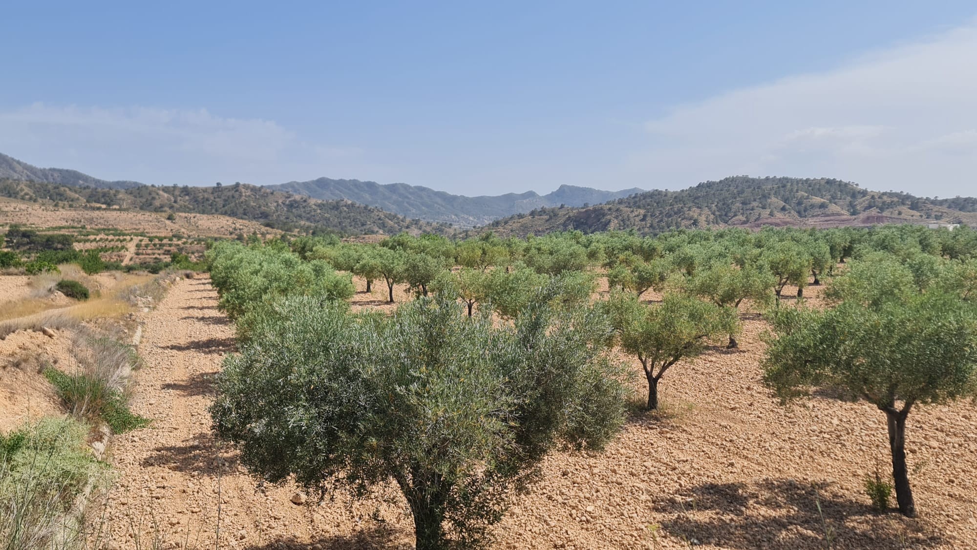 O 1iuitee3k1u6711rn725d4vq201j