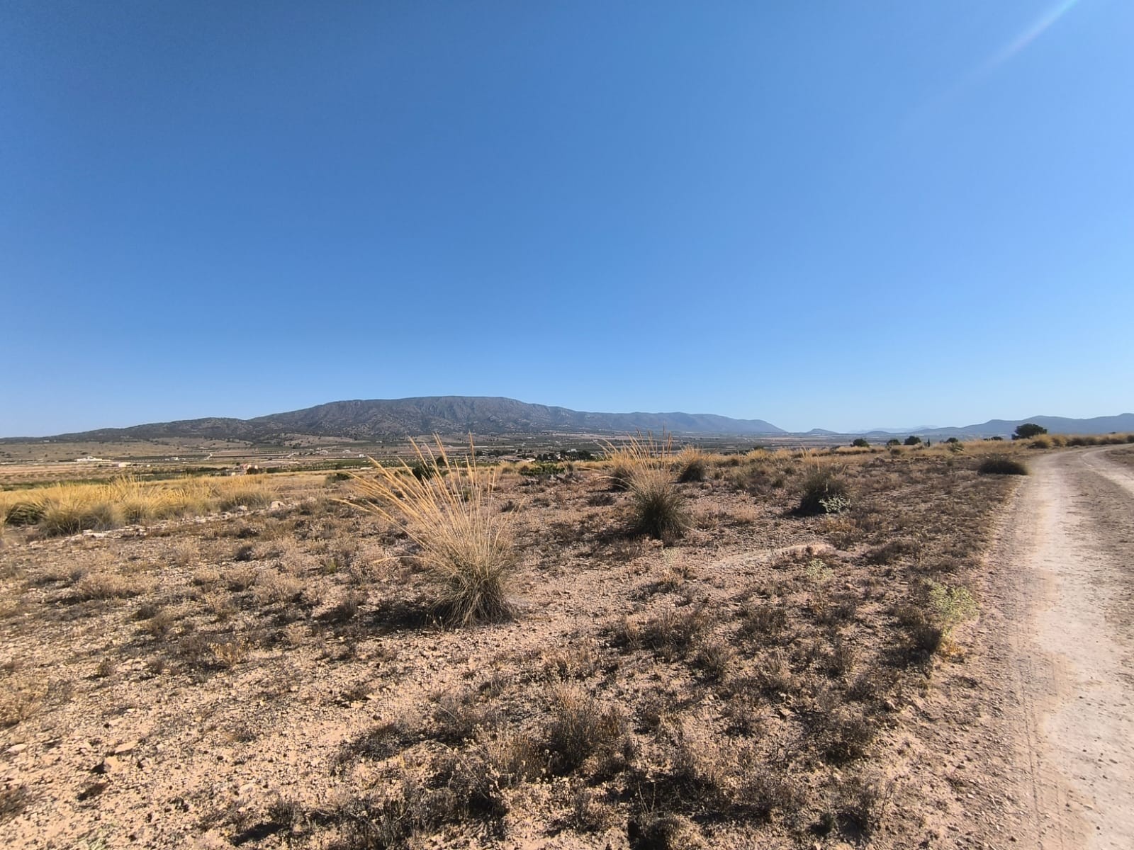 O 1j0bhccmbm9t1a6tq07anru3j1l