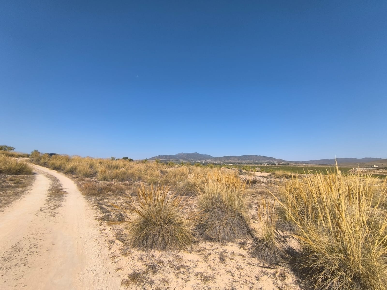 O 1j0bhccmbquo1al6aribef9kc1k