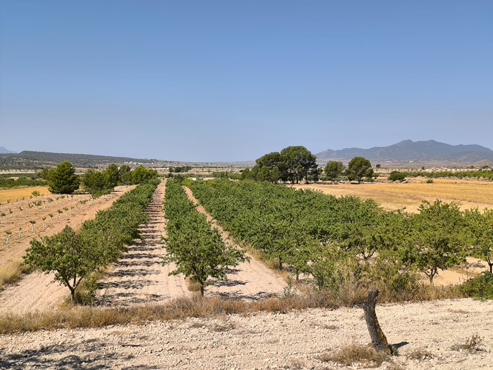 O 1j1g132aj1gv2all1n961uifk3k1d