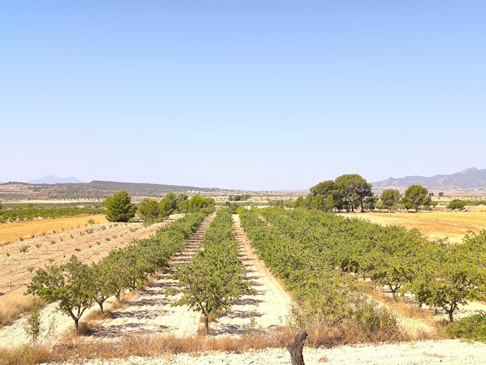 O 1j1g132aj1rkj1t5h67noppo41e