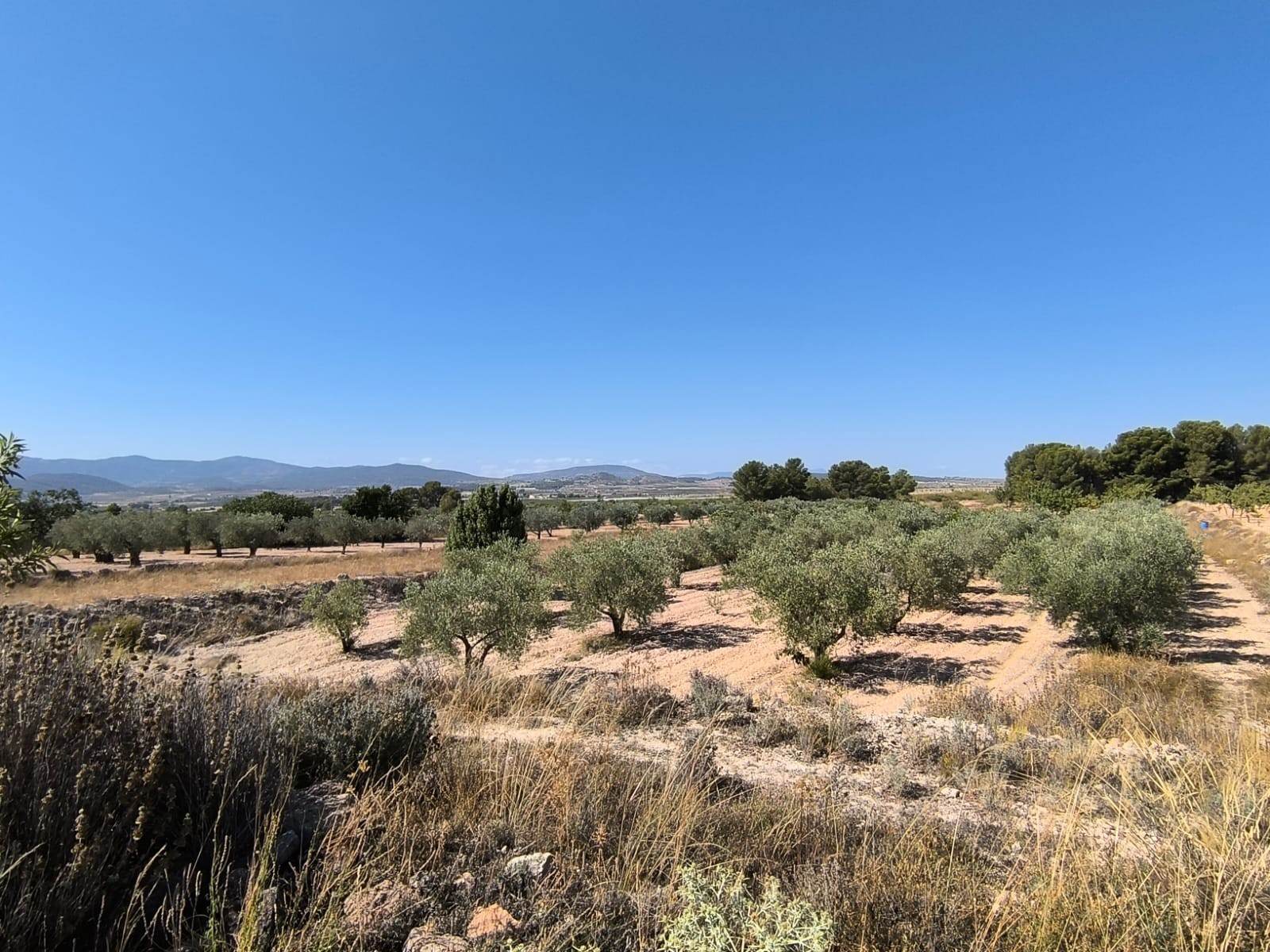 O 1j1g18vlc8mltfc3j3827le1f