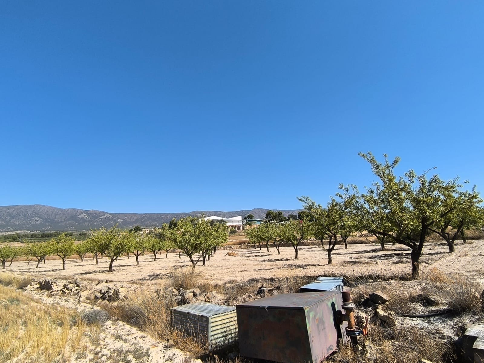 O 1j1g1ent51j5i1f9g1gnk1cvp1kk81g