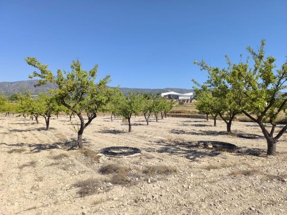 O 1j1g1ent5mp313da1e8p1isn17mn1h