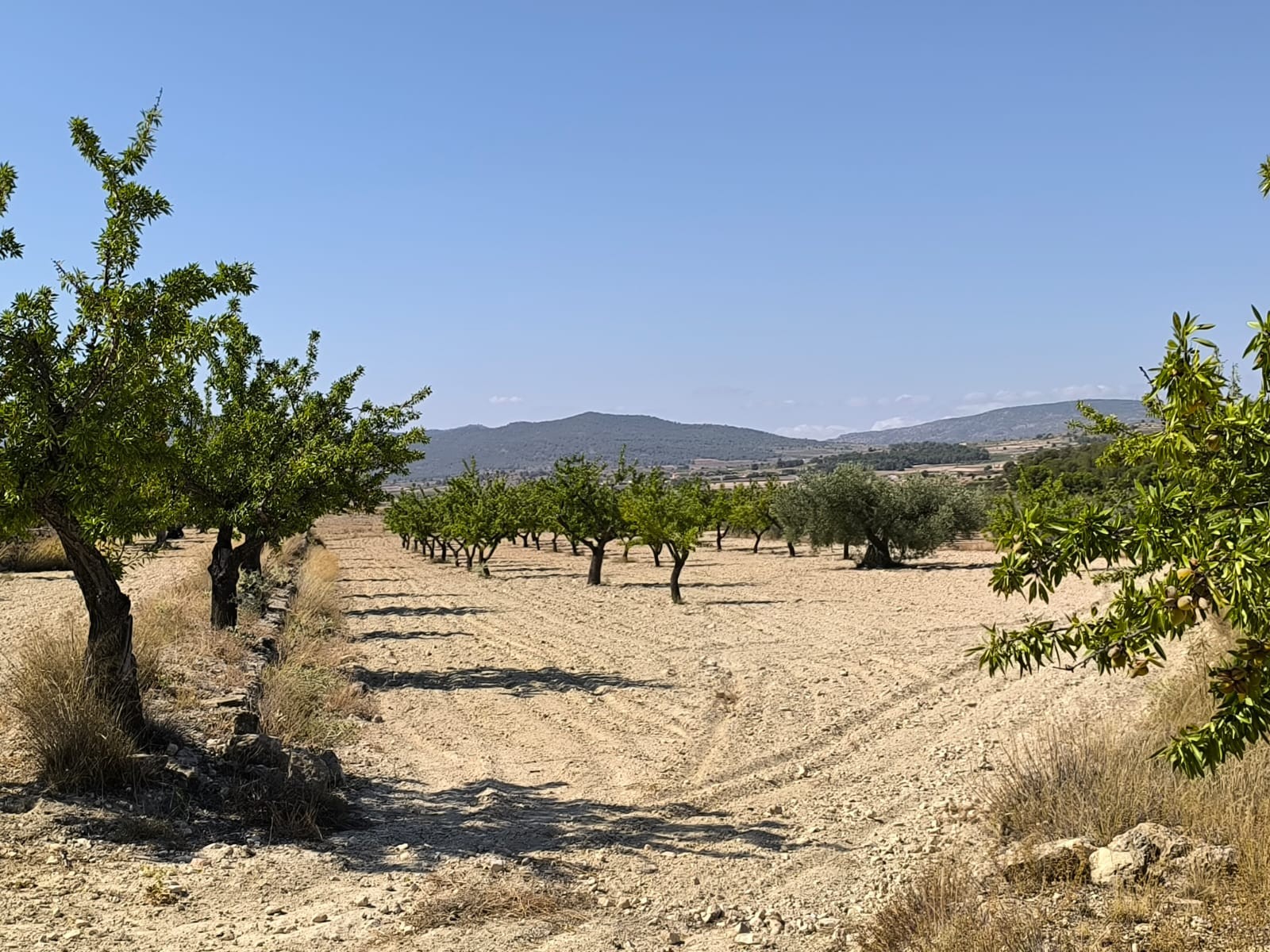 O 1j1g1lm03dmh10rr1g5n4rfbuf1k