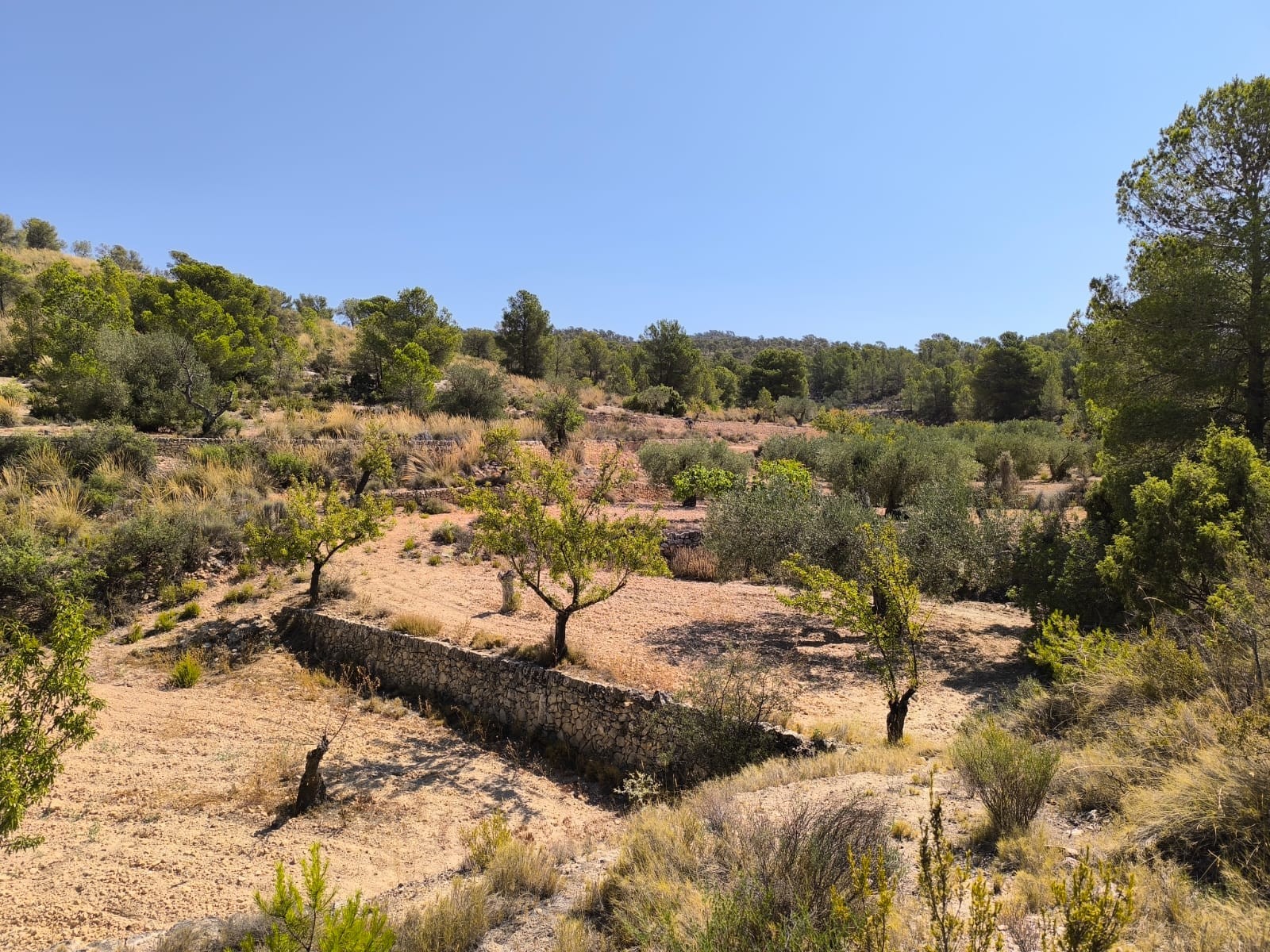 O 1j1g1q0sdmc113vdp759n81um61d