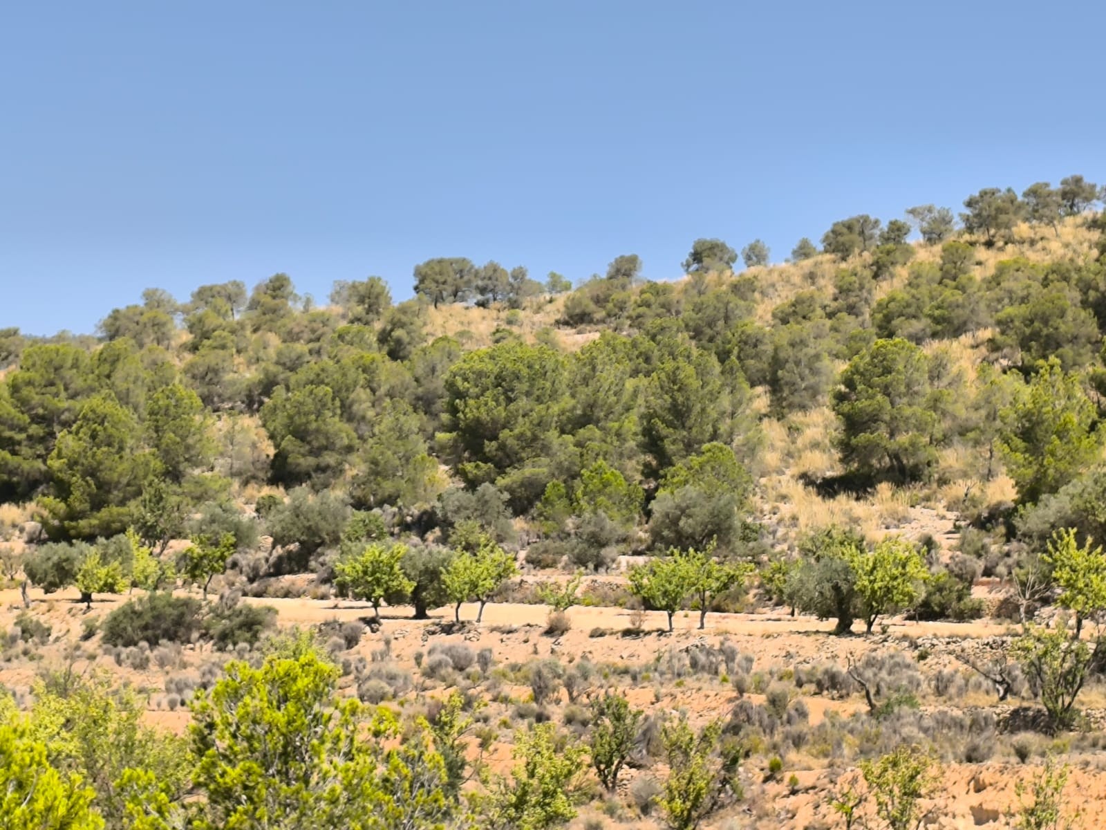 O 1j1g1vo6qubq142n4e2buq11h01d