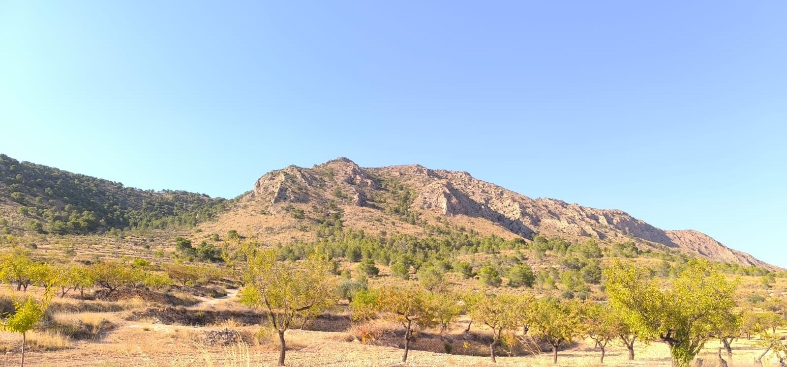 O 1j2s0q218cjh4if1mqscg698f1e