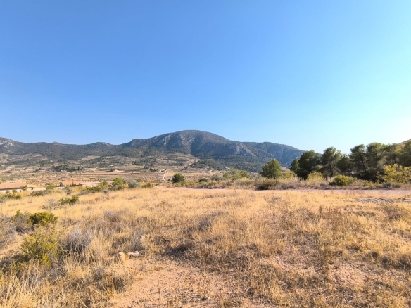 O 1j2s0q218oqa37uegb1es78lf1d