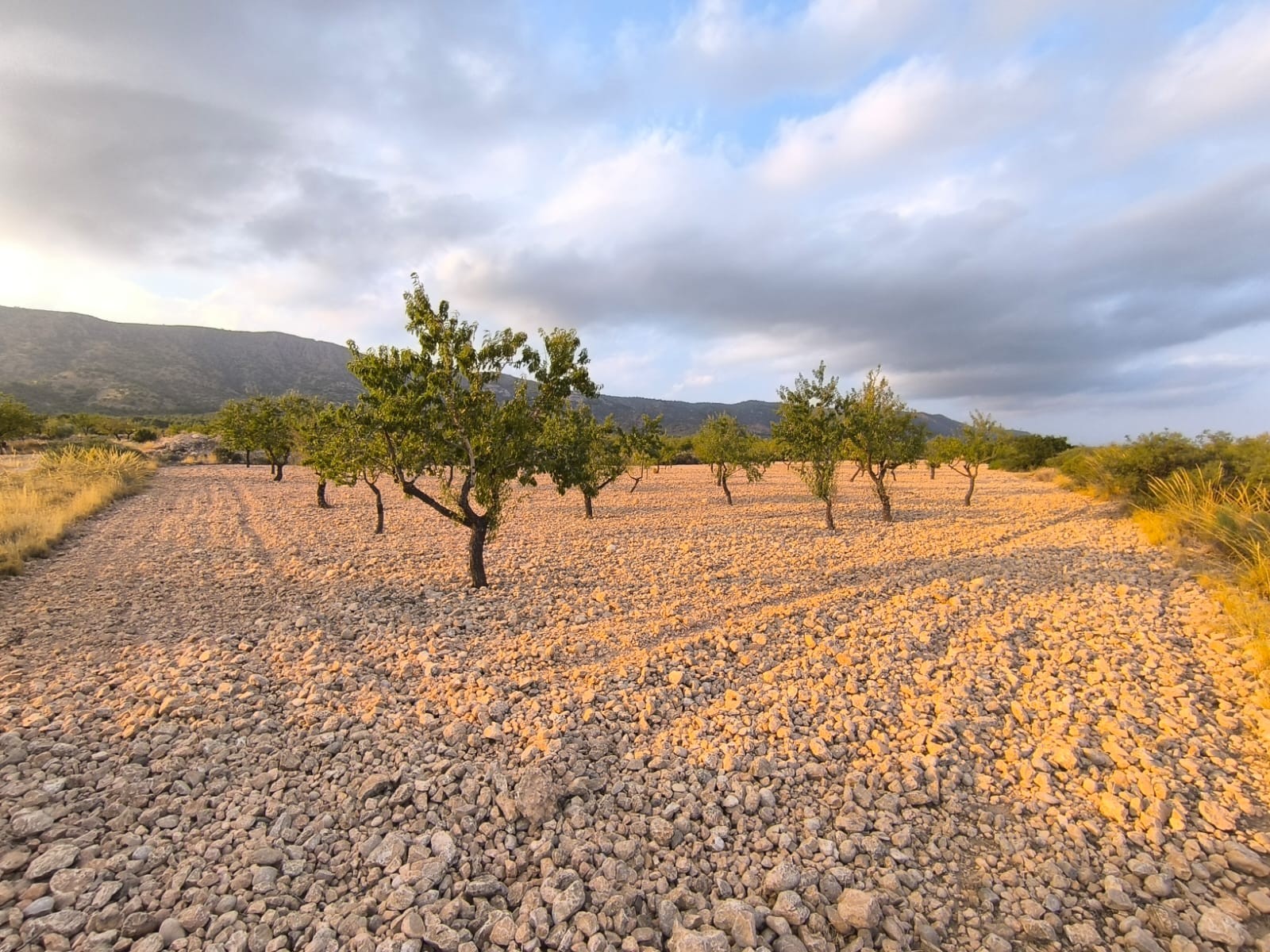 O 1j3e67im81unk14msga81rer9n41i