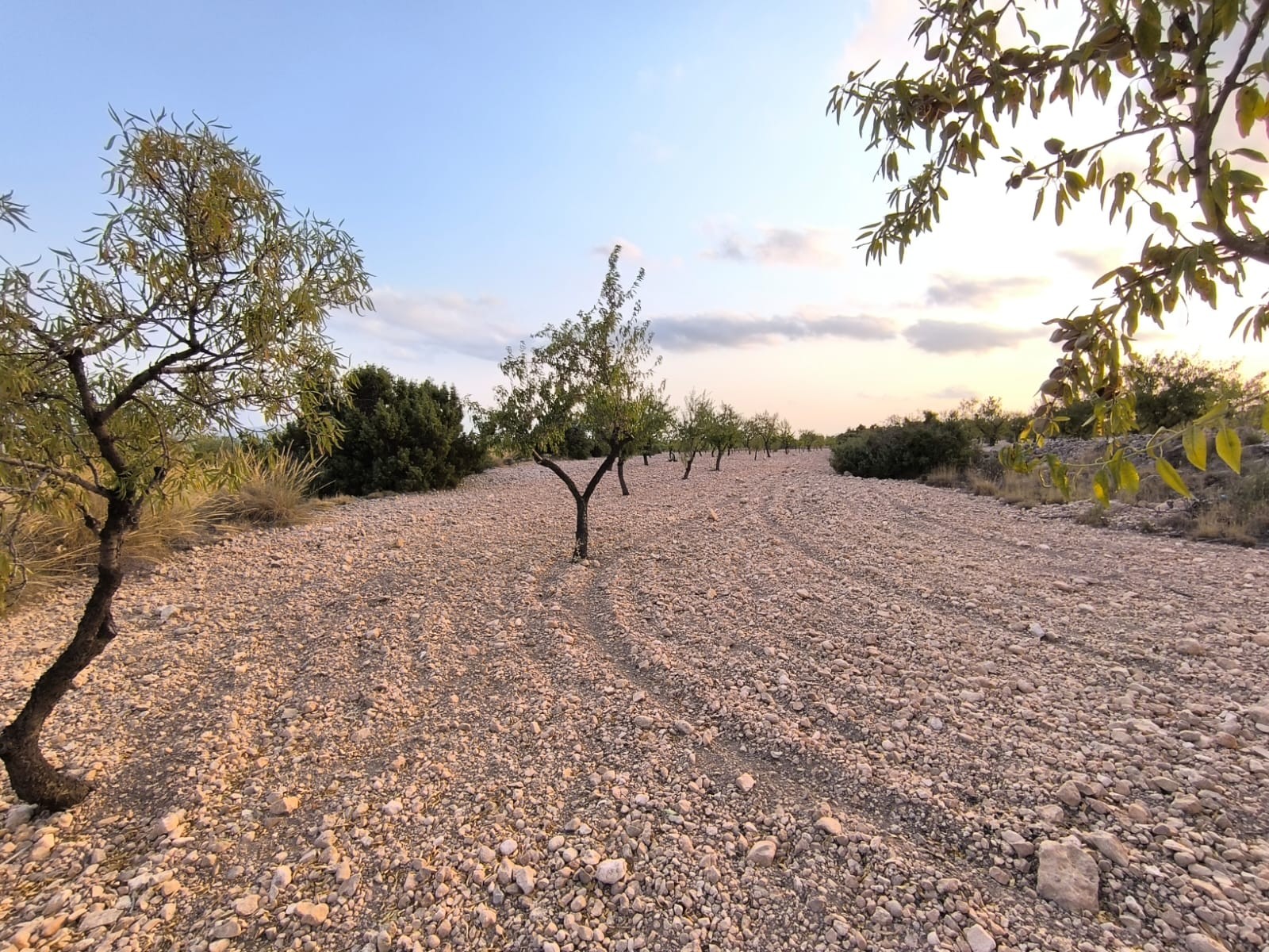 O 1j3e67im8j2ridpl5jep129q1g