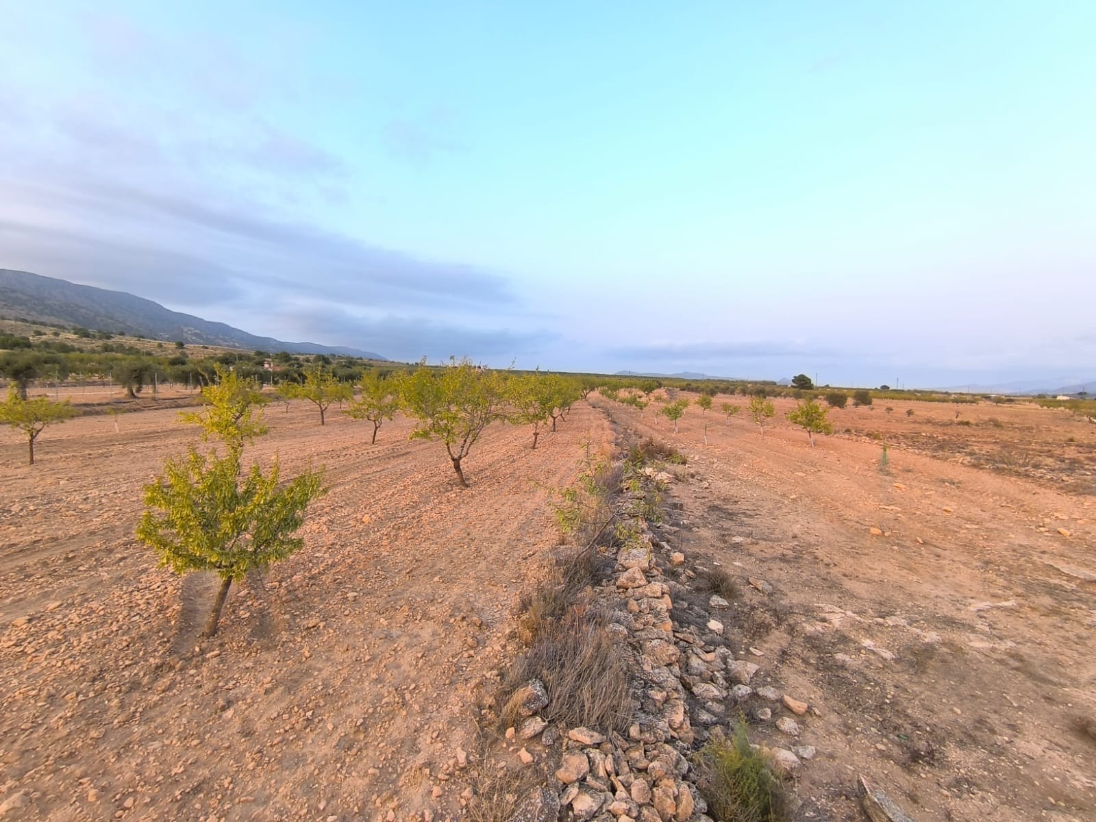 O 1j3e7jd4rrb2apd1ivq4nc4ss1i