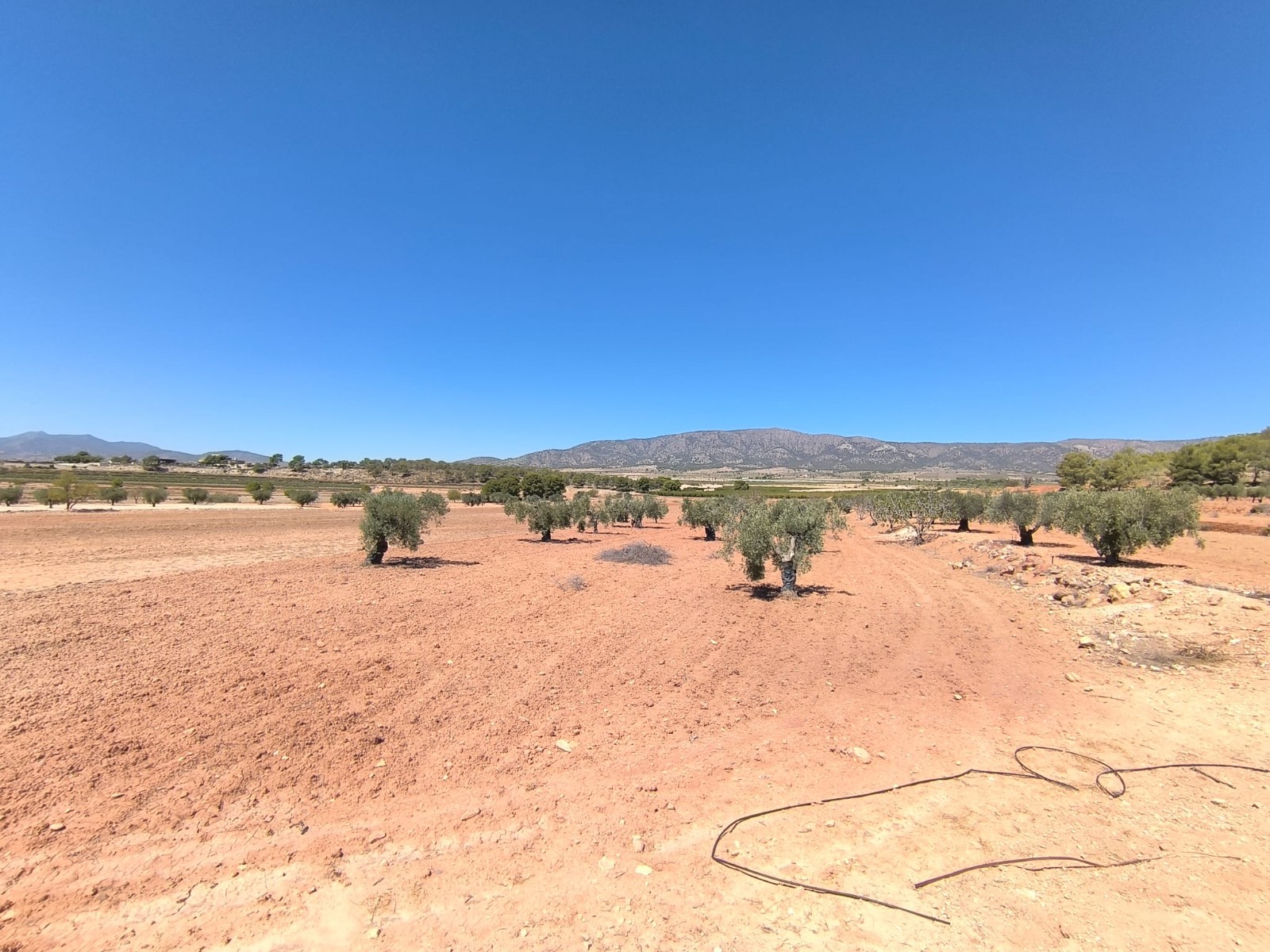 O 1j4nu0c0n1lim5c4ol71qn75d91f