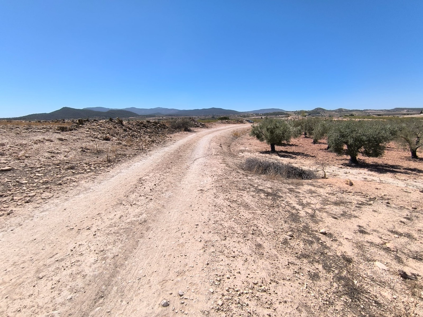 O 1j4nu0c0n1r8o7k38ss1d7u1l791e