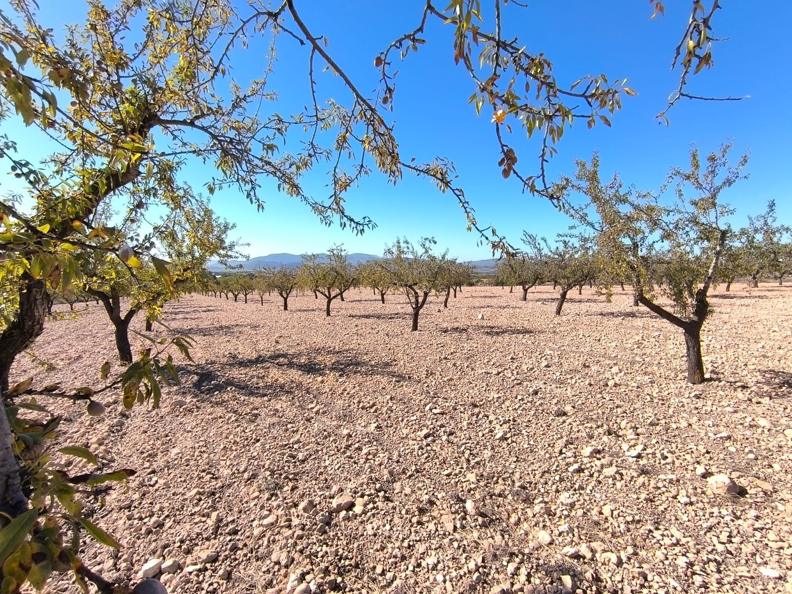 O 1j4qi94kq1pn2iv419coecf193r1h