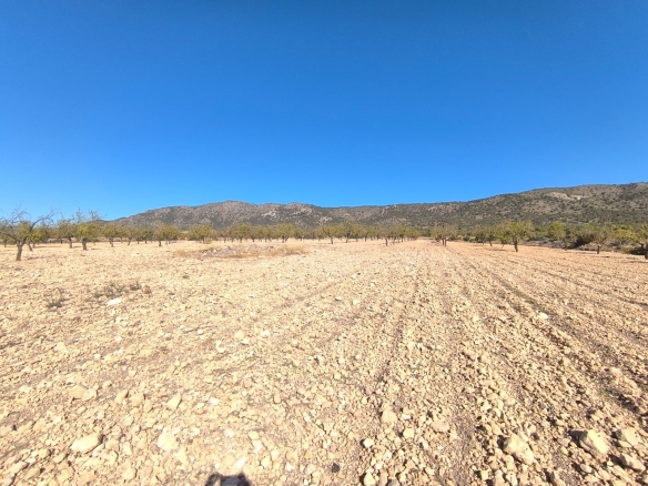 O 1j4qi94kqjpd5va15mv1lu01h731g