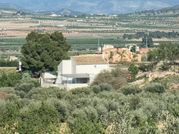 O 1j4vatj8hmmr1q8vlgk100mn431p