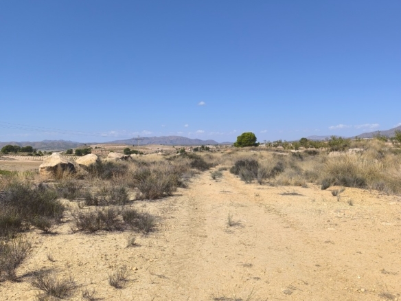 O 1j62vstnhtbikgo1fgb2kh1ajs1g