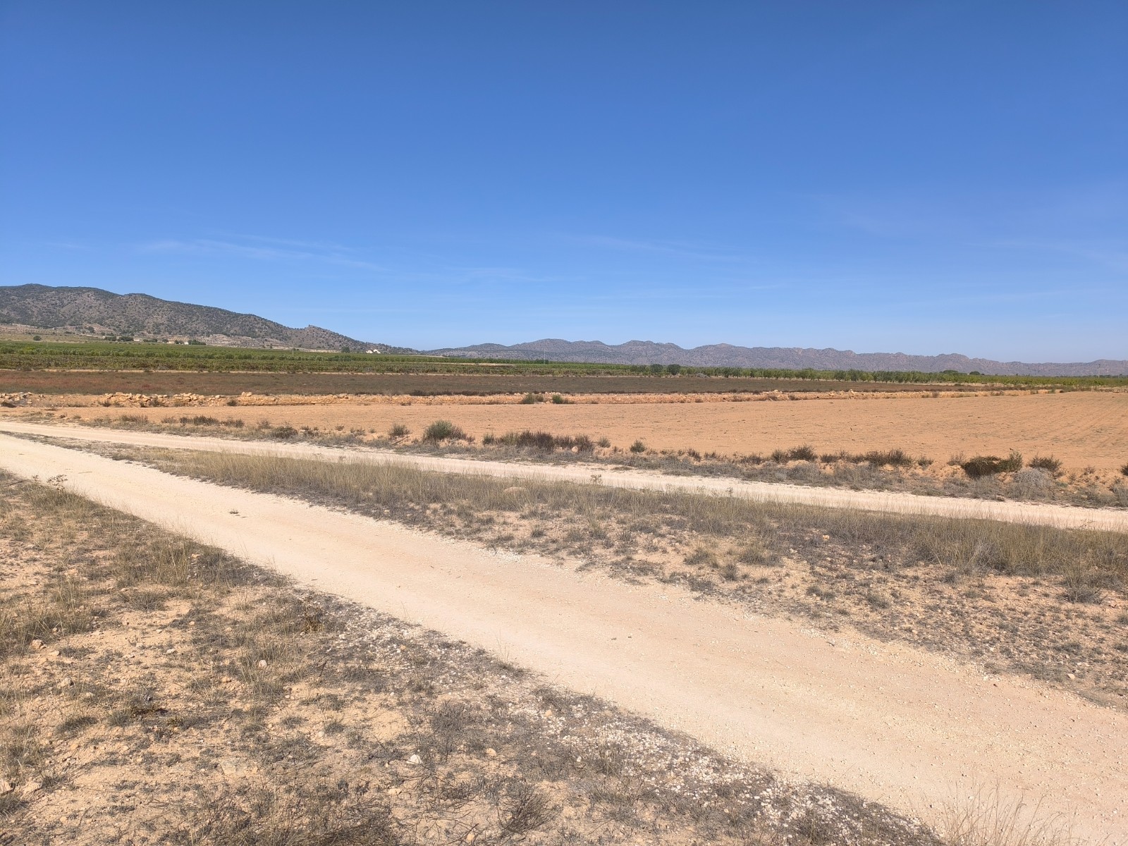 O 1j6l4edsn111n1nj921rr9a19v11l