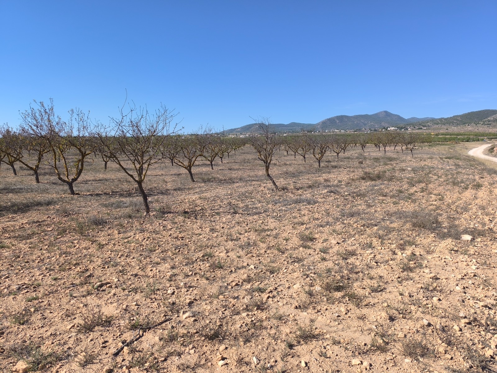 O 1j6l4edsn1s53q3gfe918hc1kmd1k