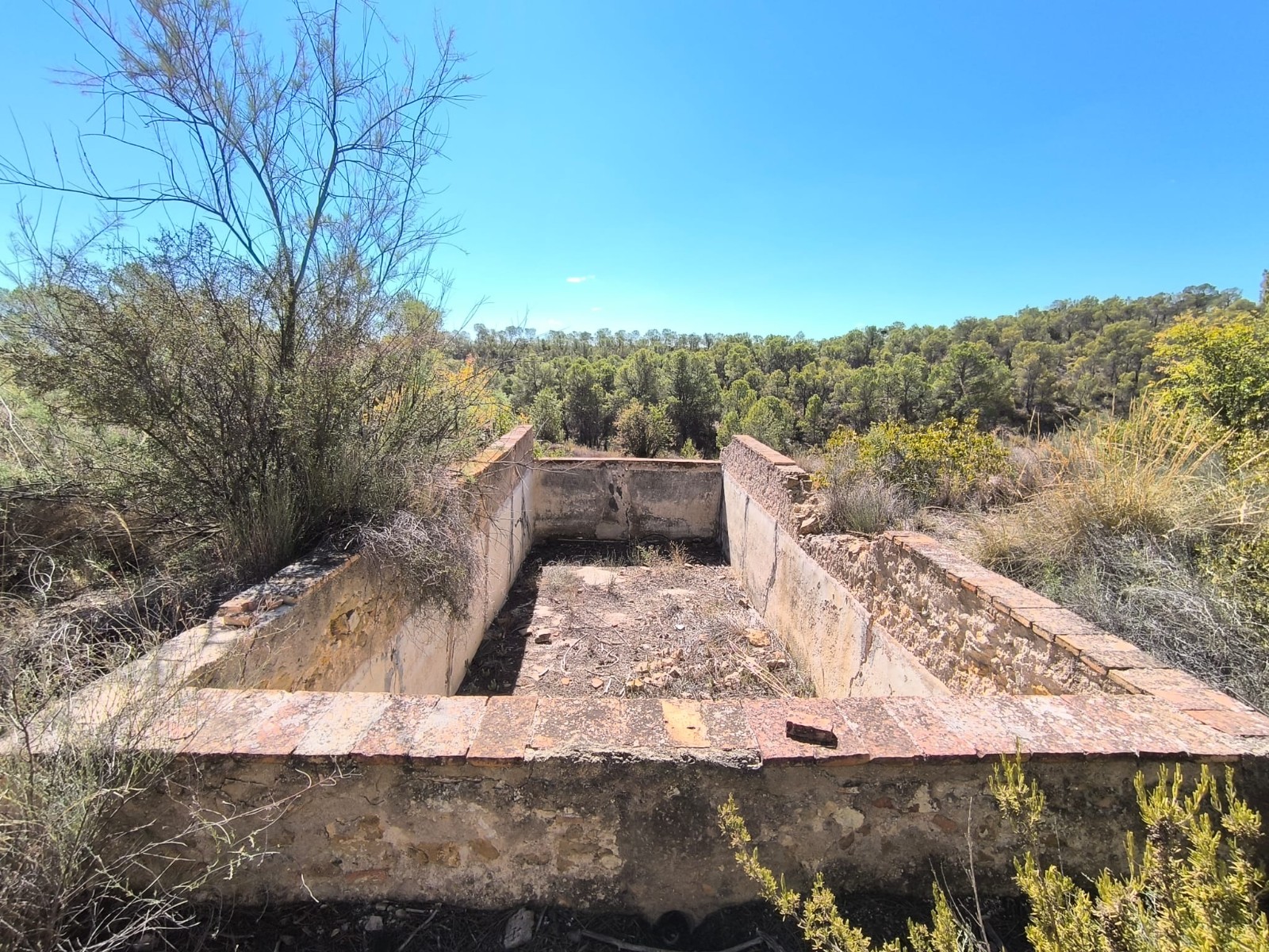 O 1j76tpl7v1lec17o039719hrlng1o