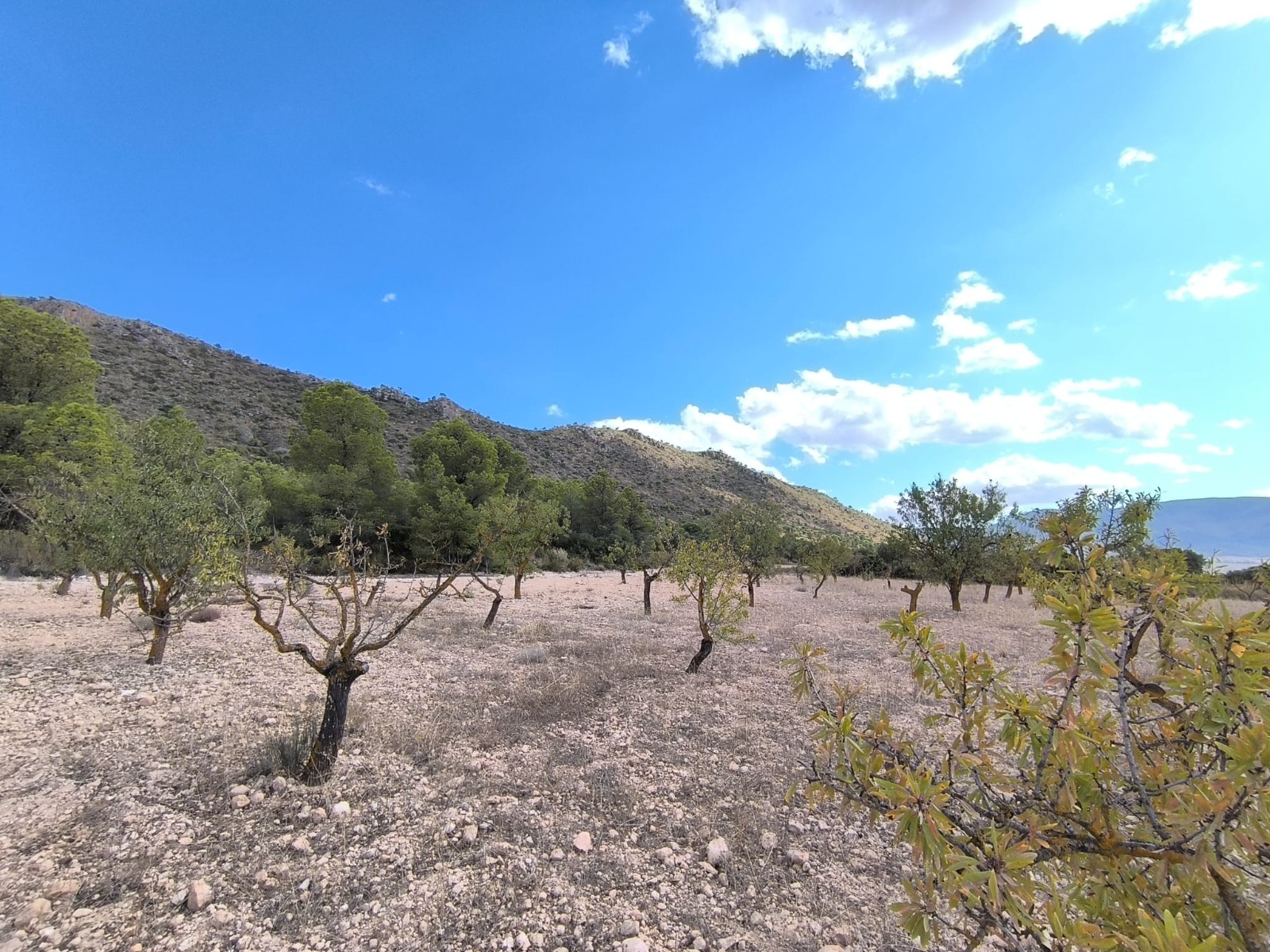 O 1j77ihshe3iv10ie7391rd7q5l1c