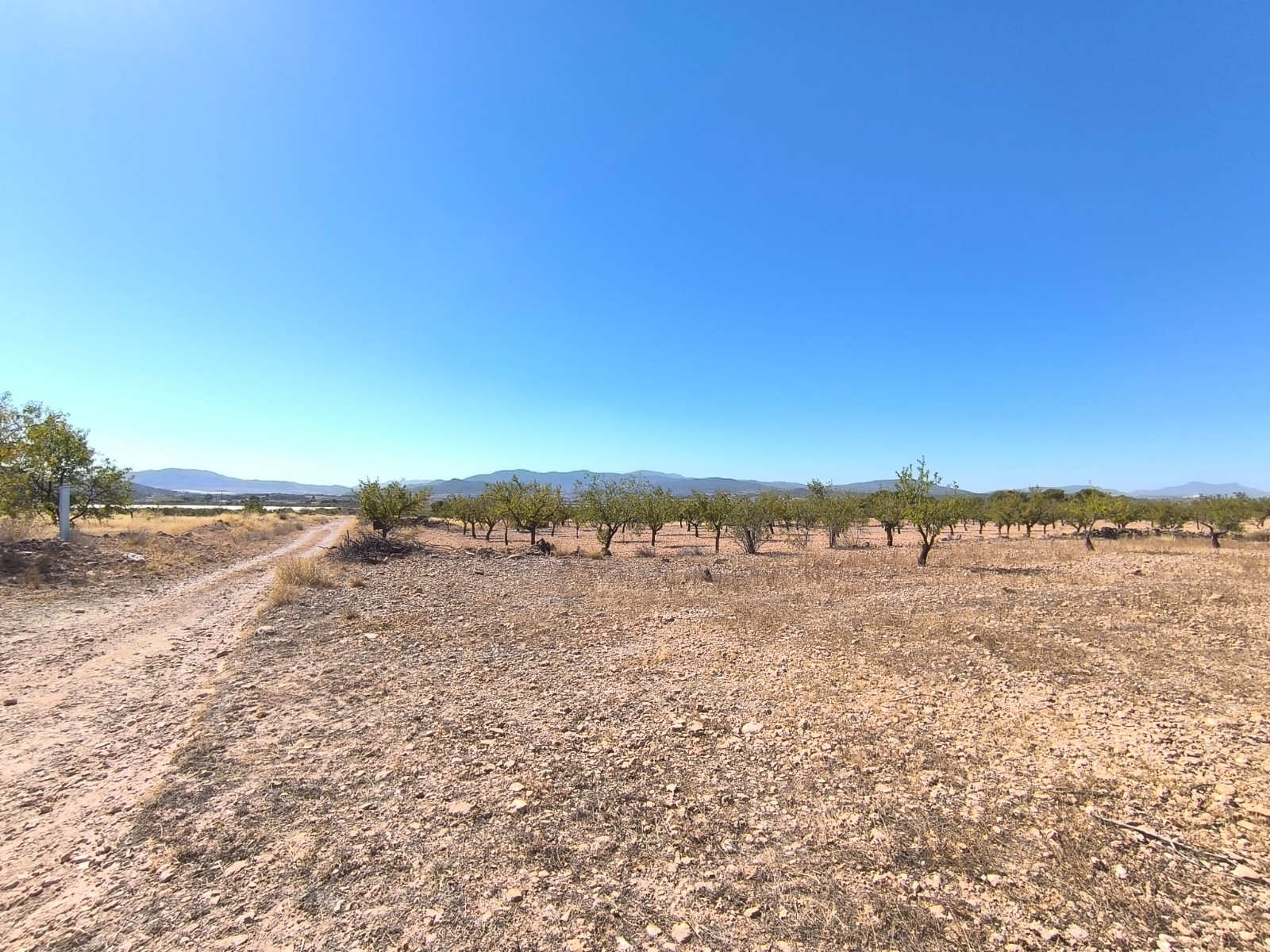 O 1j77t17ka1kbeud8ik9gek19531e