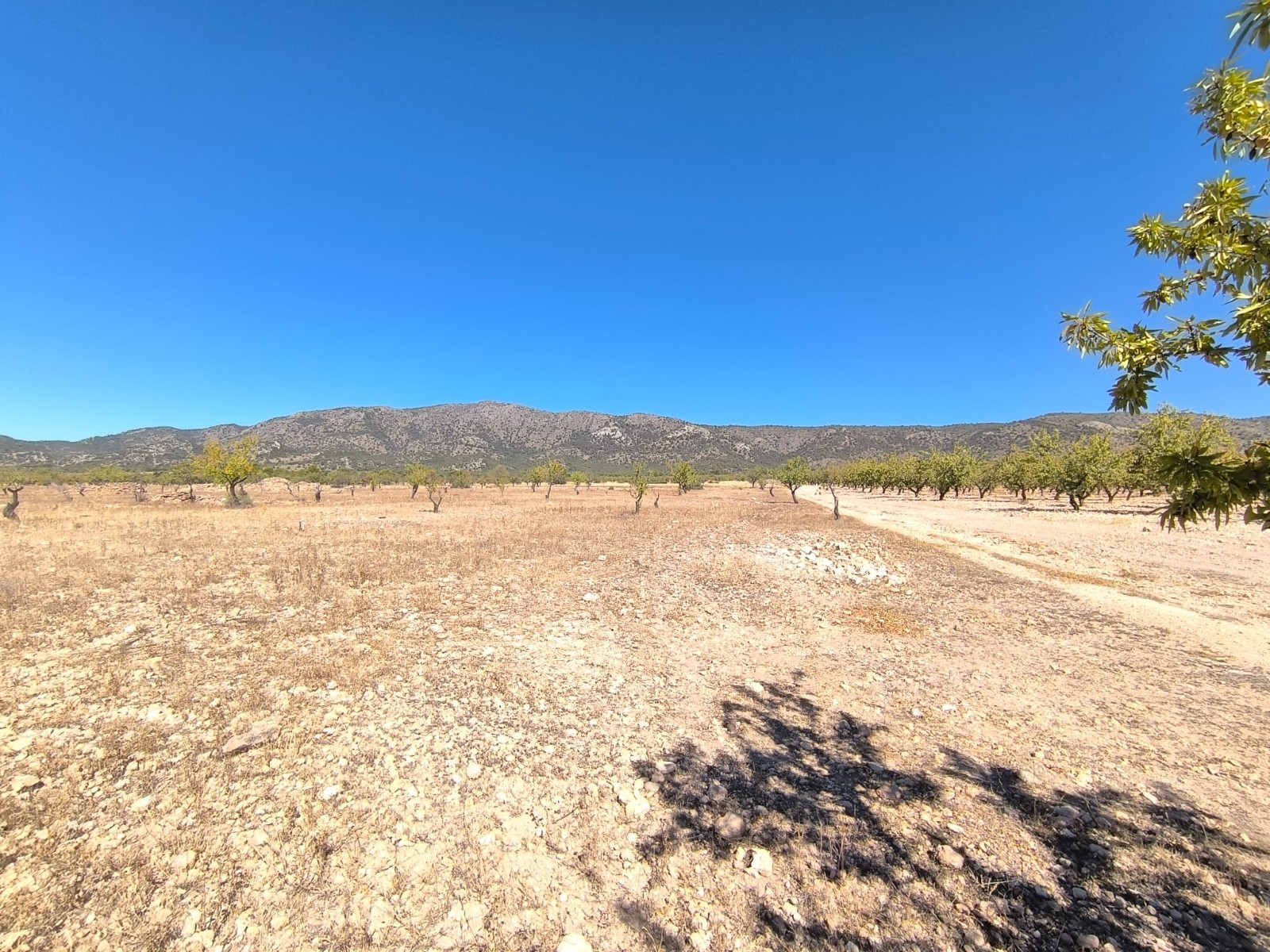 O 1j77t17kak8jdtei7fhll131m1f