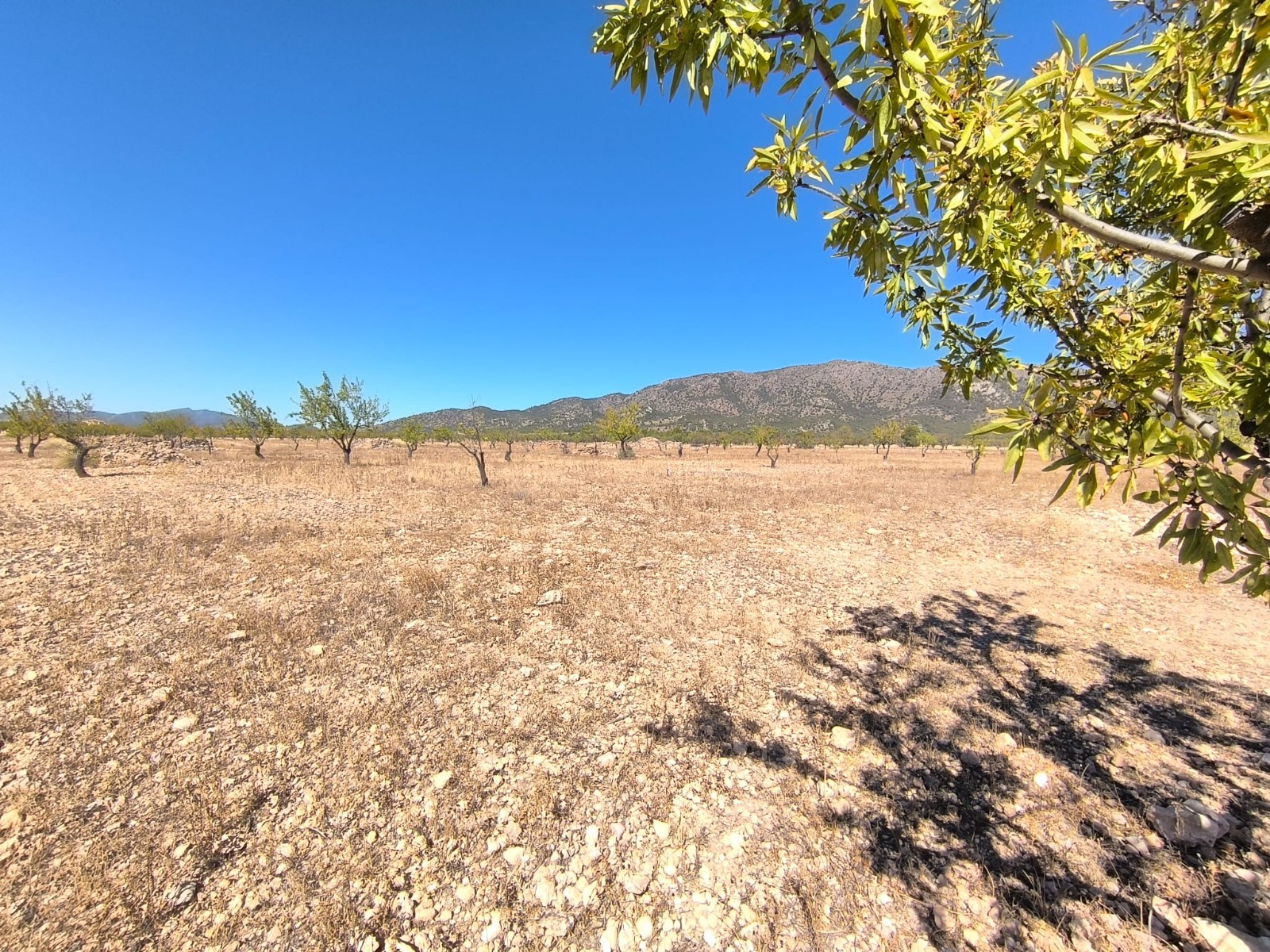 O 1j77t17kau8b1bak1gebafo10bq1g