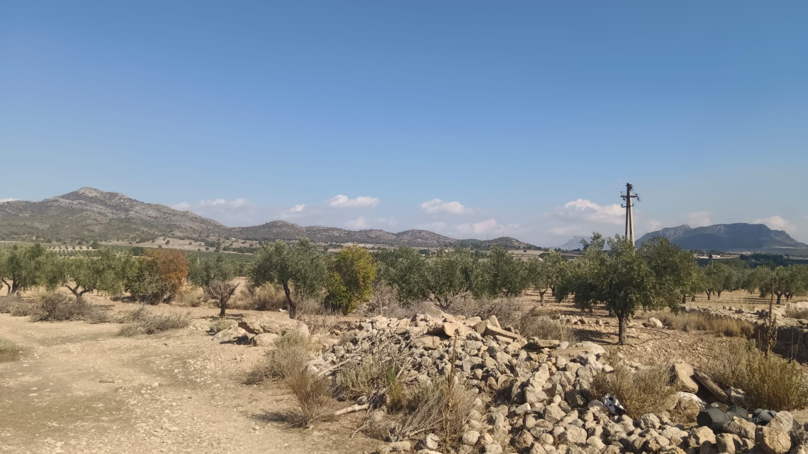 O 1j80vqdo119rk1b711m6d1kdn1gpu1m