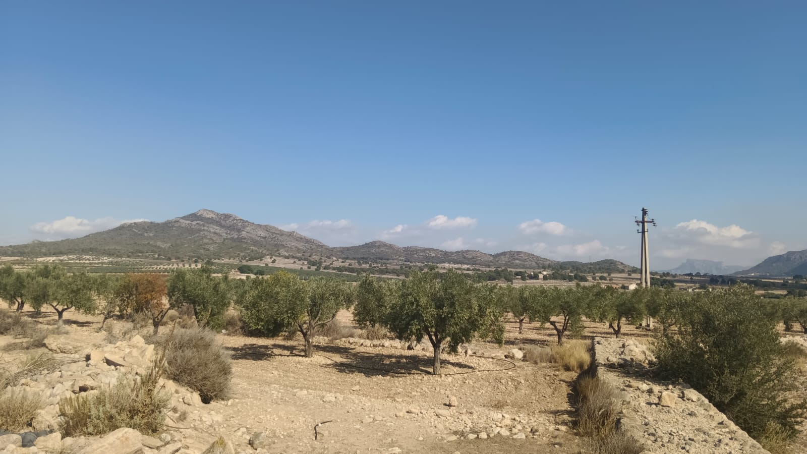 O 1j80vqdo11a6t1cio9otlkqpev1n